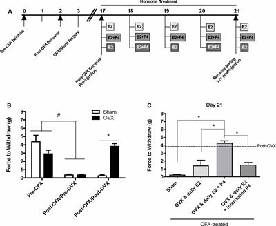 Progesterone and Allopregnanolone Rapidly Attenuate Estrogen-Associated Mechanical Allodynia in Rats with Persistent Temporomandibular Joint Inflammation